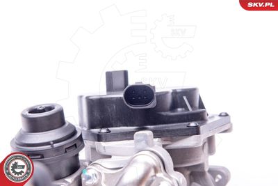 EGR Valve 14SKV153