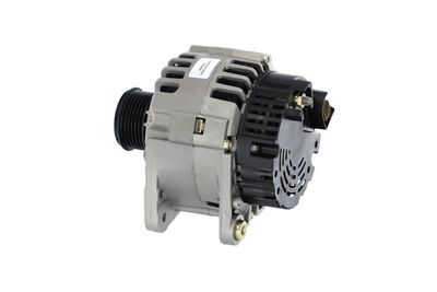 GENERATOR / ALTERNATOR REMANTE 011003000369R 17