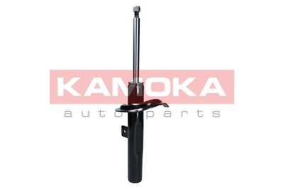 Shock Absorber 2000265