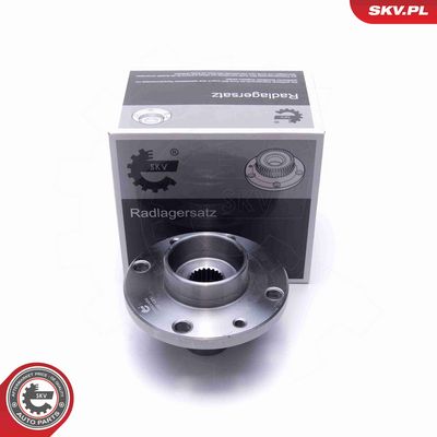 SET RULMENT ROATA ESEN SKV 29SKV454