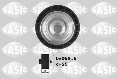 SASIC 1620031 Ролик ременя генератора 