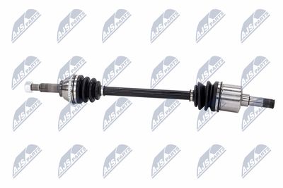 PLANETARA NTY NPWFR031 26