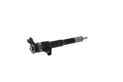 INJECTOR REMANTE 002003001494R 39