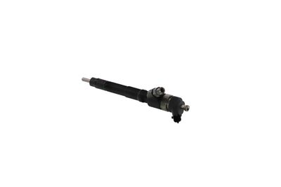 INJECTOR REMANTE 002003000037R 20