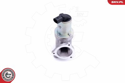 EGR Valve 14SKV209