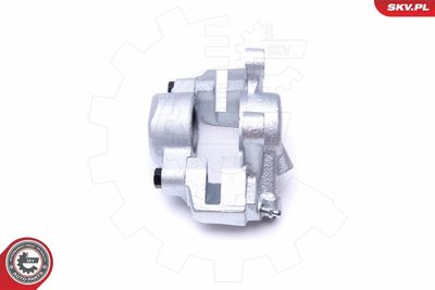 Brake Caliper 45SKV861