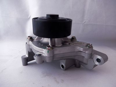 Water Pump with Housing
