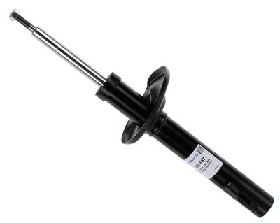 Shock Absorber 100 667