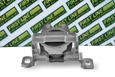 окачване, двигател FIRST LINE FEM3925