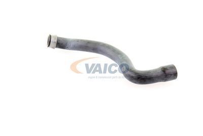 KüHLERSCHLAUCH VAICO V301655 16
