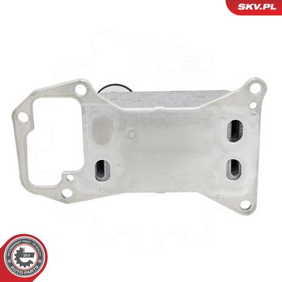 Oleja chladič, motorový olej SKV 31SKV379