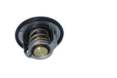 TERMOSTAT LICHID RACIRE NRF 725211 28