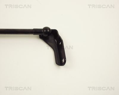 AMORTIZOR PORTBAGAJ KAWE 871013221 2