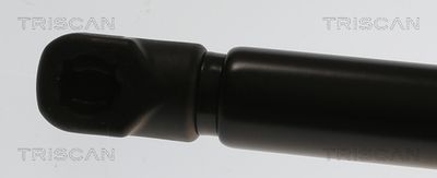 AMORTIZOR PORTBAGAJ TRISCAN 871082004 1