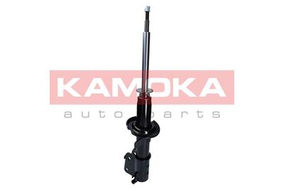 Shock Absorber 2000485