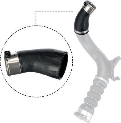 FURTUN EAR SUPRAALIMENTARE GATES 091385 1