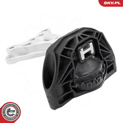 Variklio montavimas SKV GERMANY 75SKV176