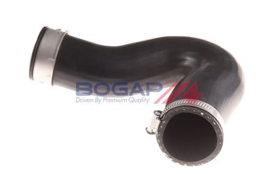 FURTUN EAR SUPRAALIMENTARE BOGAP C1711150 4