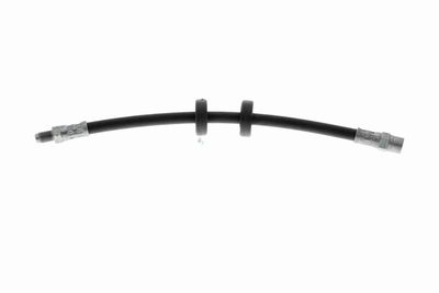 FURTUN FRANA VAICO V101043 1