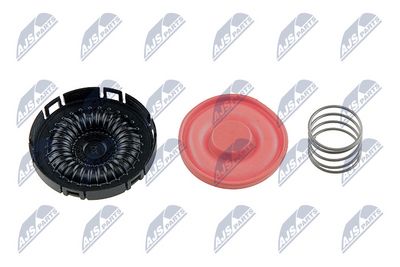 CAPAC CULBUTOR NTY BKOBM005 1