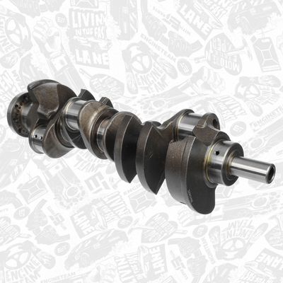 ARBORE COTIT ET ENGINETEAM HK0218 2