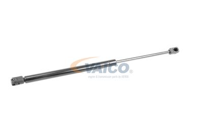 GASFEDER KOFFER-/LADERAUM VAICO V240499 58