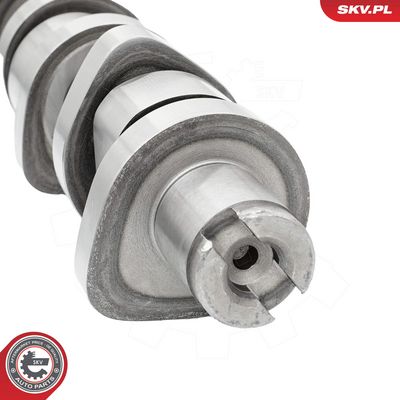 Vačkový hřídel ESEN SKV 80SKV030