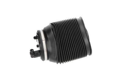 ARC PNEUMATIC DIRECTIE Kavo Parts SAS10012 5