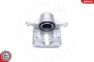 Brake Caliper 42SKV481