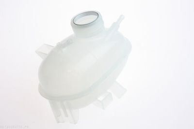 VAS DE EXPANSIUNE RACIRE