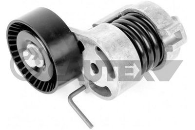 CAUTEX 770081 Натяжитель ремня генератора для BMW 1