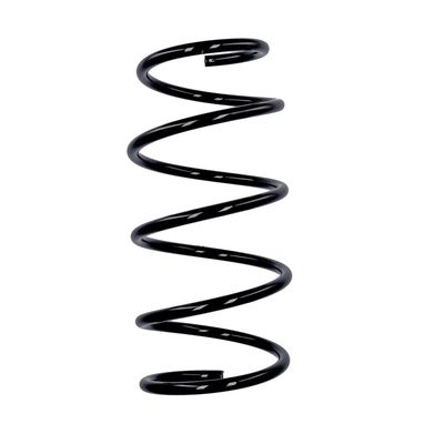 ARC SPIRAL EIBACH R10991 25