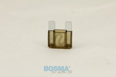 Kaitse BOSMA 2102