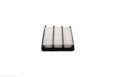 FILTRU AER AUTOMEGA 250052910 3