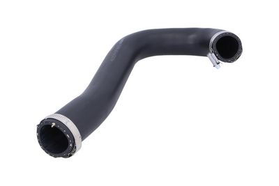 FURTUN EAR SUPRAALIMENTARE