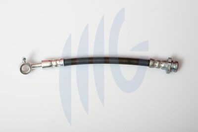 Тормозной шланг RICAMBIFLEX GM 02101053 для RENAULT KADJAR