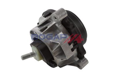 BOGAP Variklio montavimas