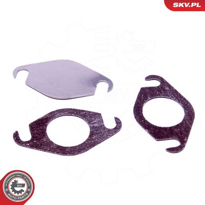 Remonto komplektas, AGR vožtuvas