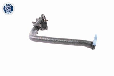 KüHLERSCHLAUCH VAICO V202653 6