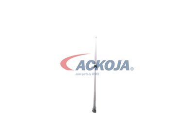 AMORTIZOR PORTBAGAJ ACKOJA A380069 25