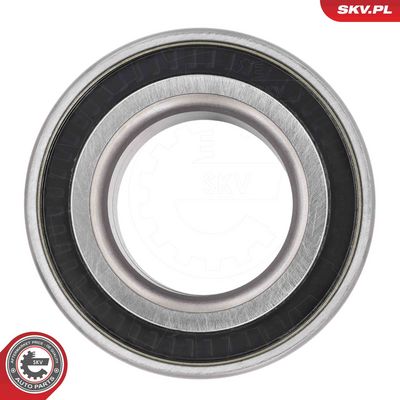 SET RULMENT ROATA ESEN SKV 85SKV096 2