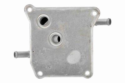 RADIATOR ULEI ULEI MOTOR ACKOJA A38600014 7