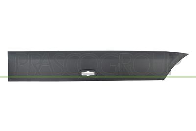 ELEMENTE DECORATIVE/PROTECTIE ARIPA PRASCO ME9191454