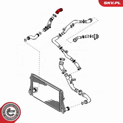 FURTUN EAR SUPRAALIMENTARE ESEN SKV 24SKV047 2