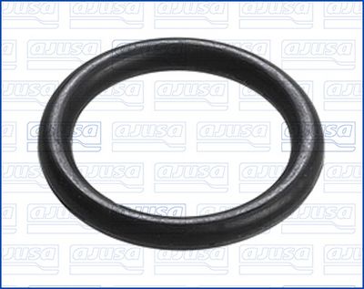 GARNIT ETANS. EVAC.ULEI (COMPRESOR)