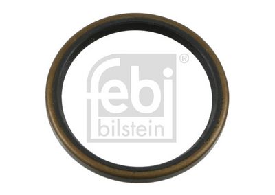 DICHTRING ACHSSCHENKEL