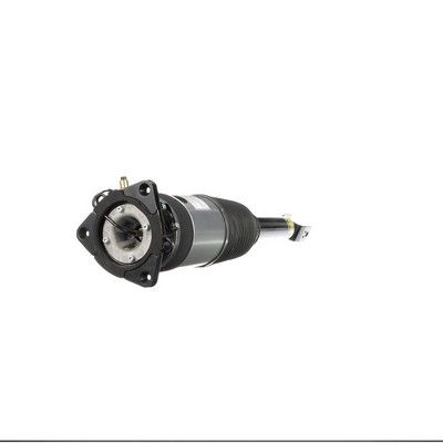 LUFTFEDERBEIN Arnott AS2969 24