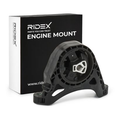окачване, двигател RIDEX 247E1368