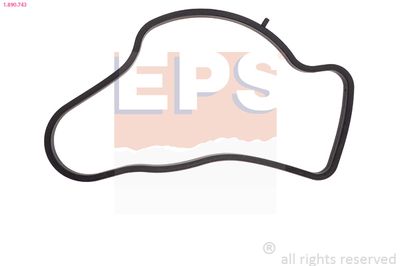 EPS Tarpiklis, termostatas