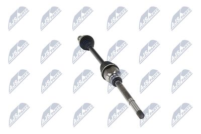 PLANETARA NTY NPWPE017 32